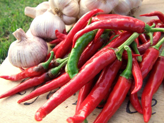 Chilli, Cayenne Long Thin - LifeForce Seeds