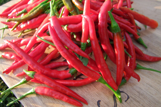 Chilli, Thai Hot - LifeForce Seeds