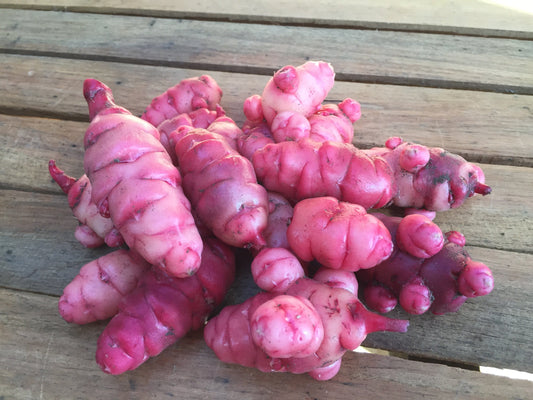 New Zealand Yam (5tubers) - LifeForce Seeds