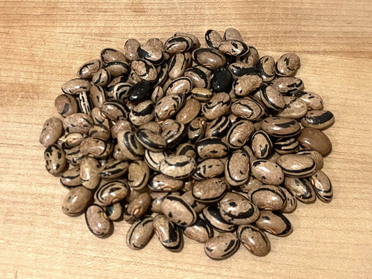 Bean Climbing Molly’s Zebra - LifeForce Seeds