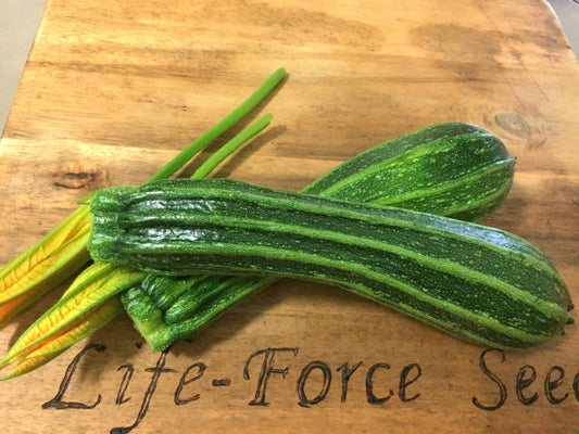 Zucchini, Costata Romanesco - LifeForce Seeds