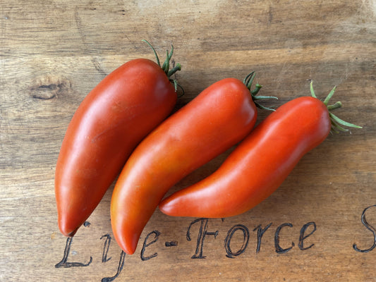 Tomato, Ram's Horn - LifeForce Seeds