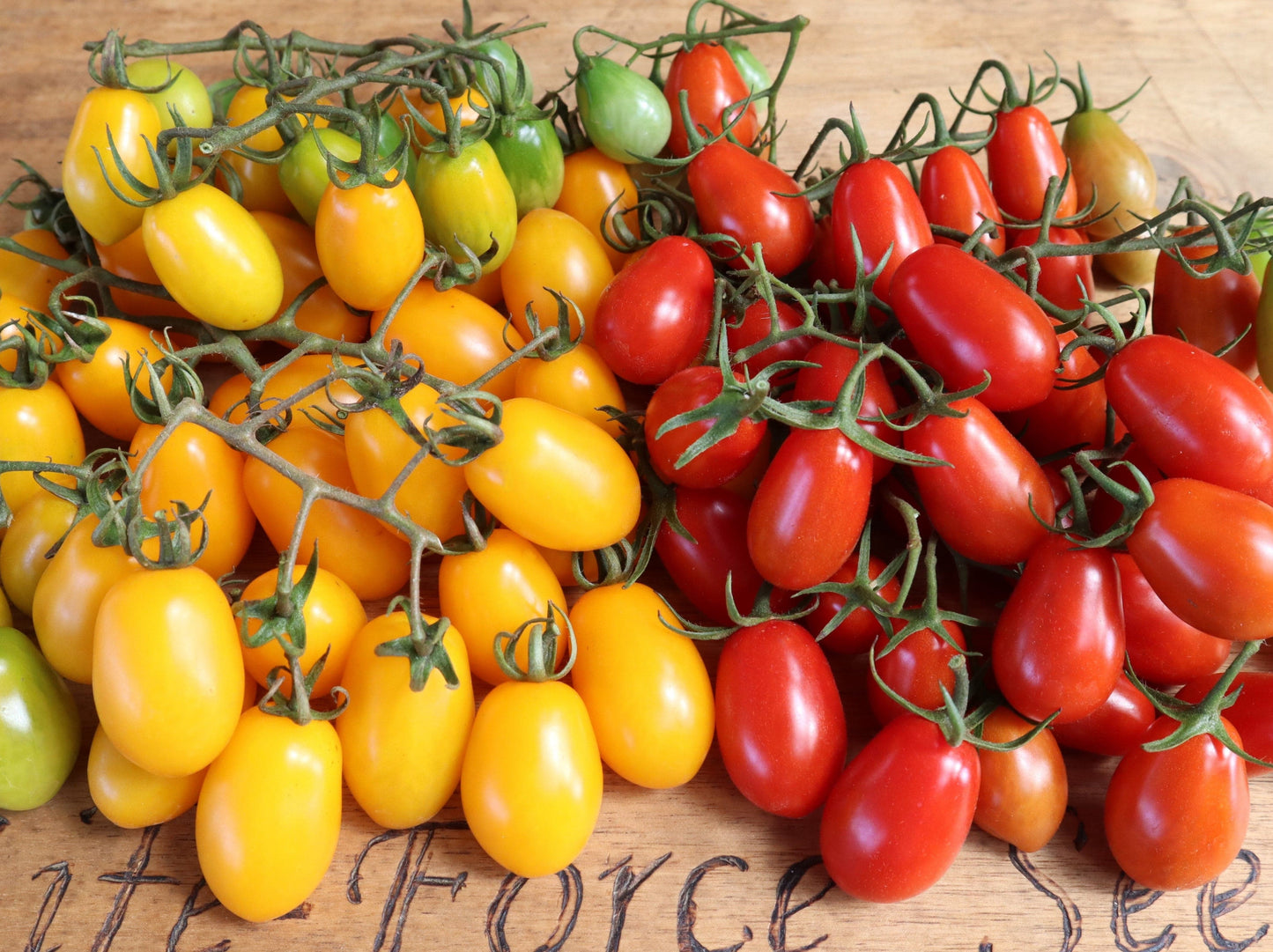Tomato, Honey Drop Cherry