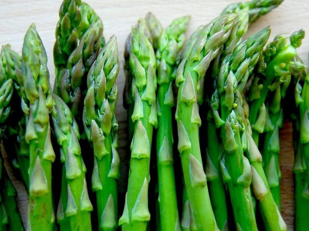 Asparagus Mary Washington - LifeForce Seeds