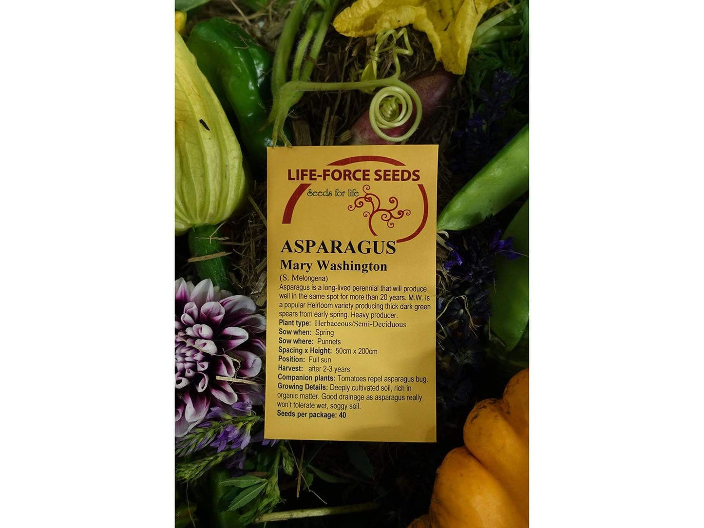 Asparagus Mary Washington - LifeForce Seeds