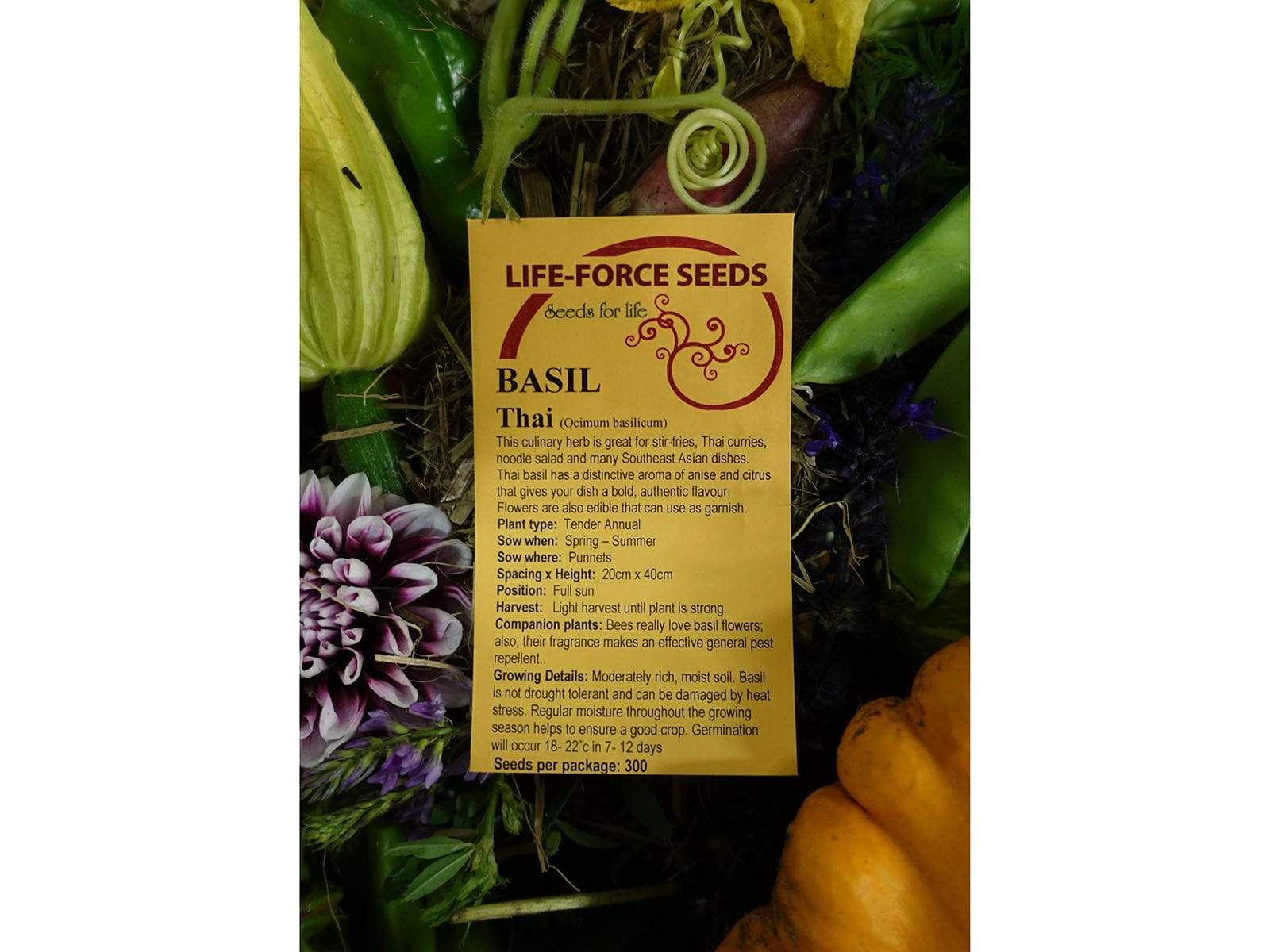 Basil Thai - LifeForce Seeds