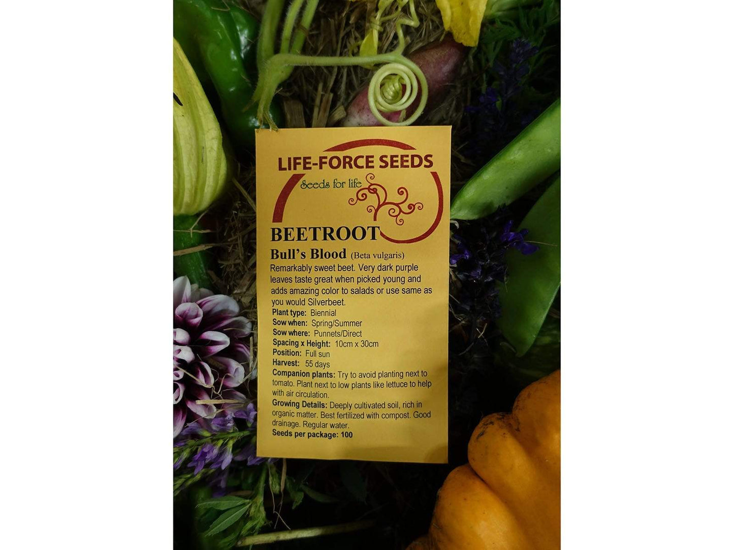 Beetroot Bulls Blood - LifeForce Seeds