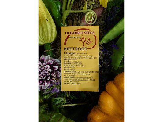 Beetroot Chioggia - LifeForce Seeds