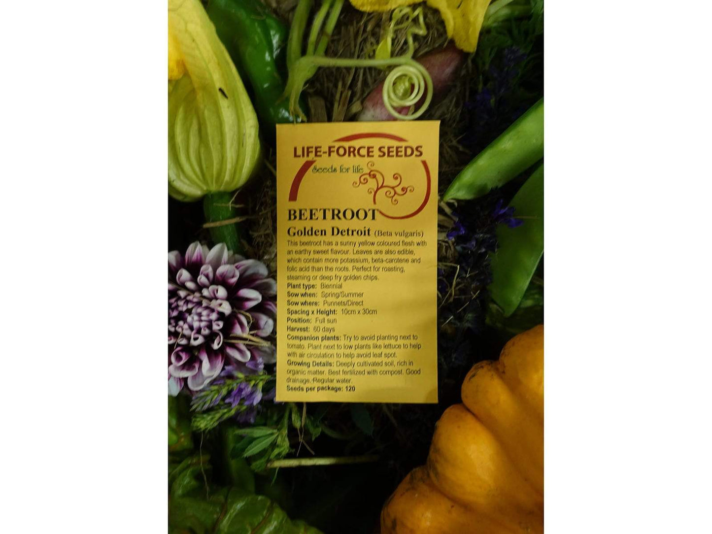 Beetroot Golden Detroit - LifeForce Seeds