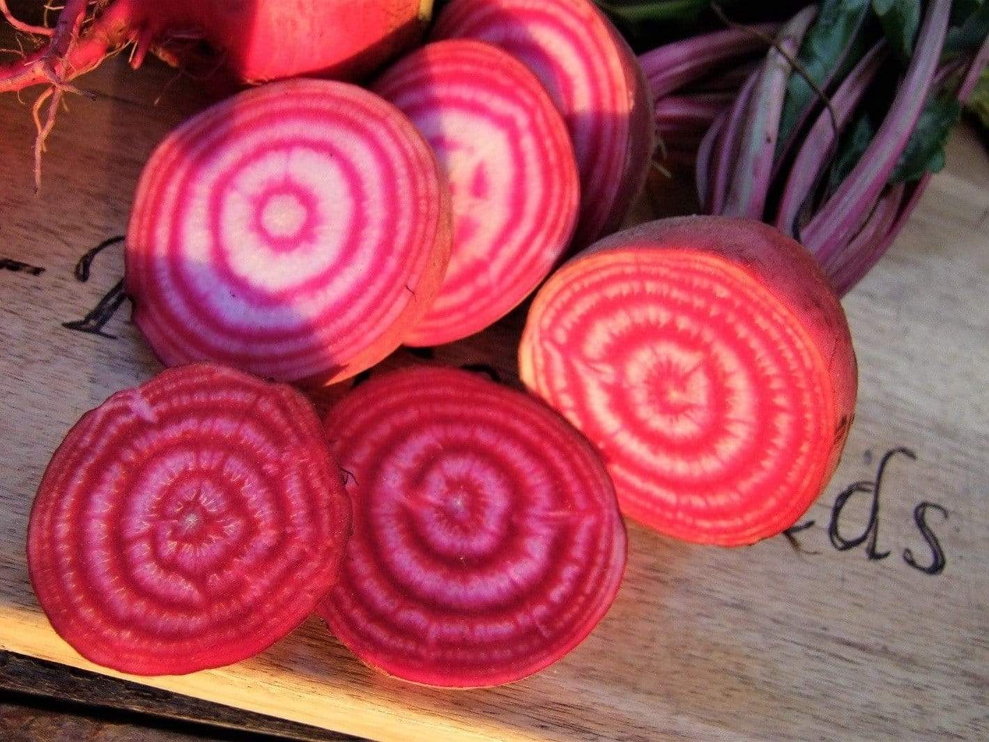 Beetroot Chioggia - LifeForce Seeds