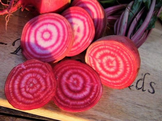 Beetroot Chioggia - LifeForce Seeds