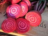 Beetroot Chioggia - LifeForce Seeds