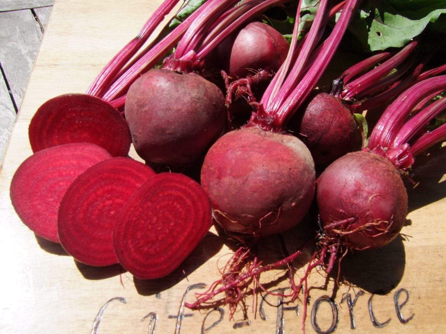 Beetroot Detroit Globe - LifeForce Seeds