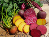 Beetroot Heirloom Mix - LifeForce Seeds