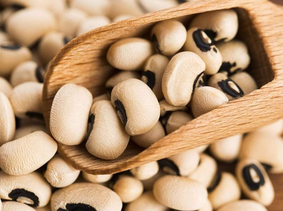Bean Bush Black Eyed - LifeForce Seeds