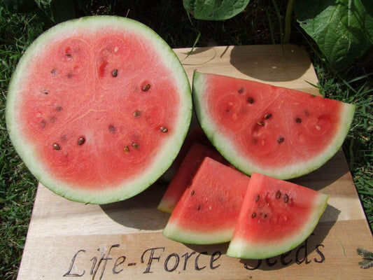 Watermelon, Blacktail Mountain - LifeForce Seeds