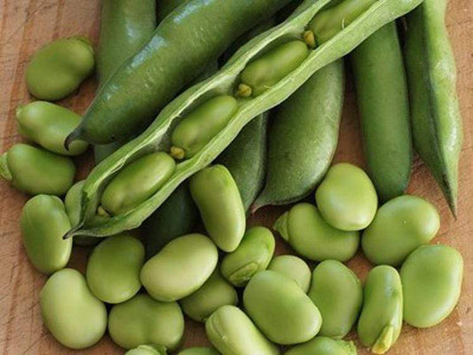 Bean Broad Coles Dwarf - LifeForce Seeds