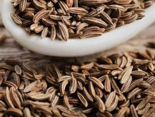 Caraway Seeds - LifeForce Seeds