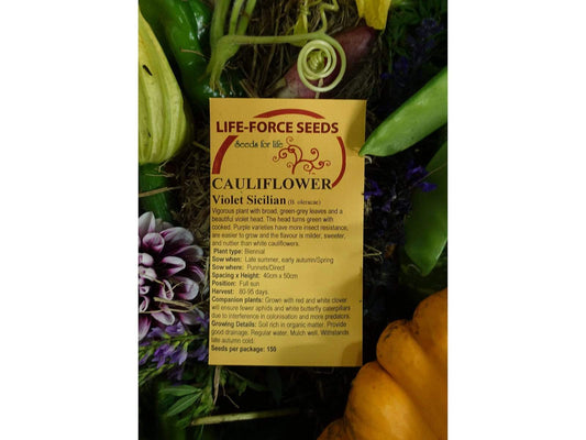 Cauliflower, Violet Sicilian - LifeForce Seeds