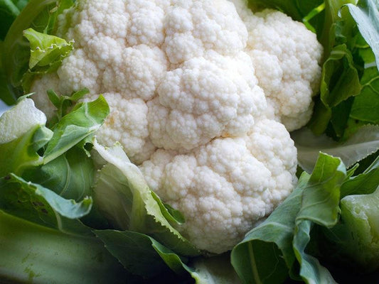 Cauliflower, Self Blanching - LifeForce Seeds
