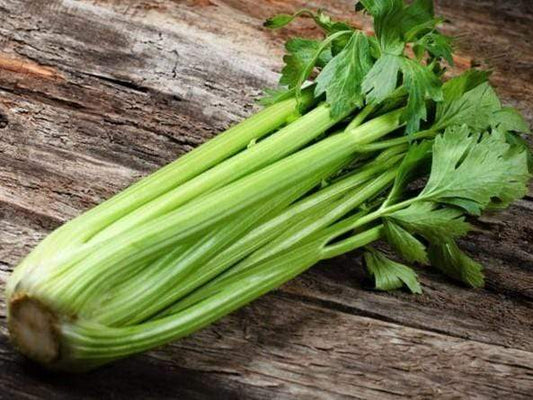 Celery Stingless - LifeForce Seeds