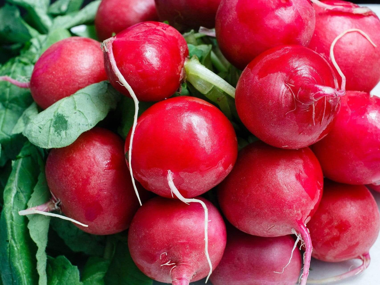 Radish, Cherry Belle - LifeForce Seeds