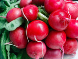 Radish, Cherry Belle - LifeForce Seeds
