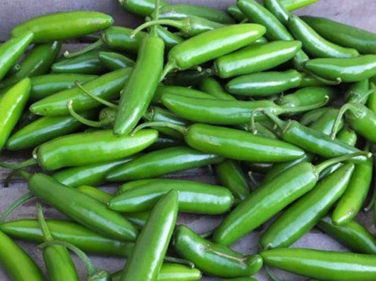Chilli, Serrano Tampiqueno - LifeForce Seeds