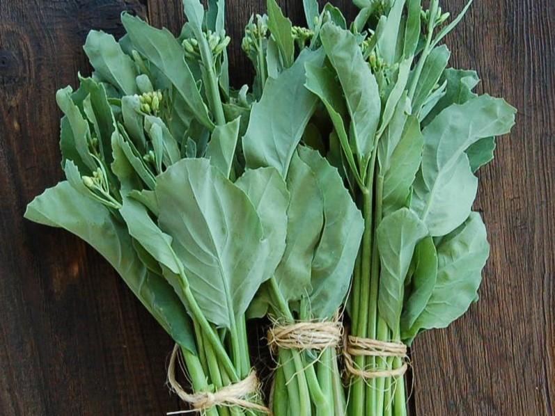 Chinese Broccoli, Kailaan F1 - LifeForce Seeds