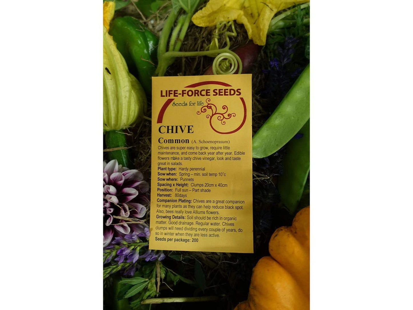 Chive Common - LifeForce Seeds