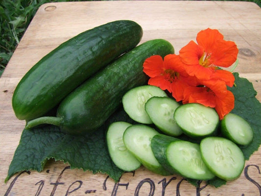 Cucumber, Lebanese - LifeForce Seeds