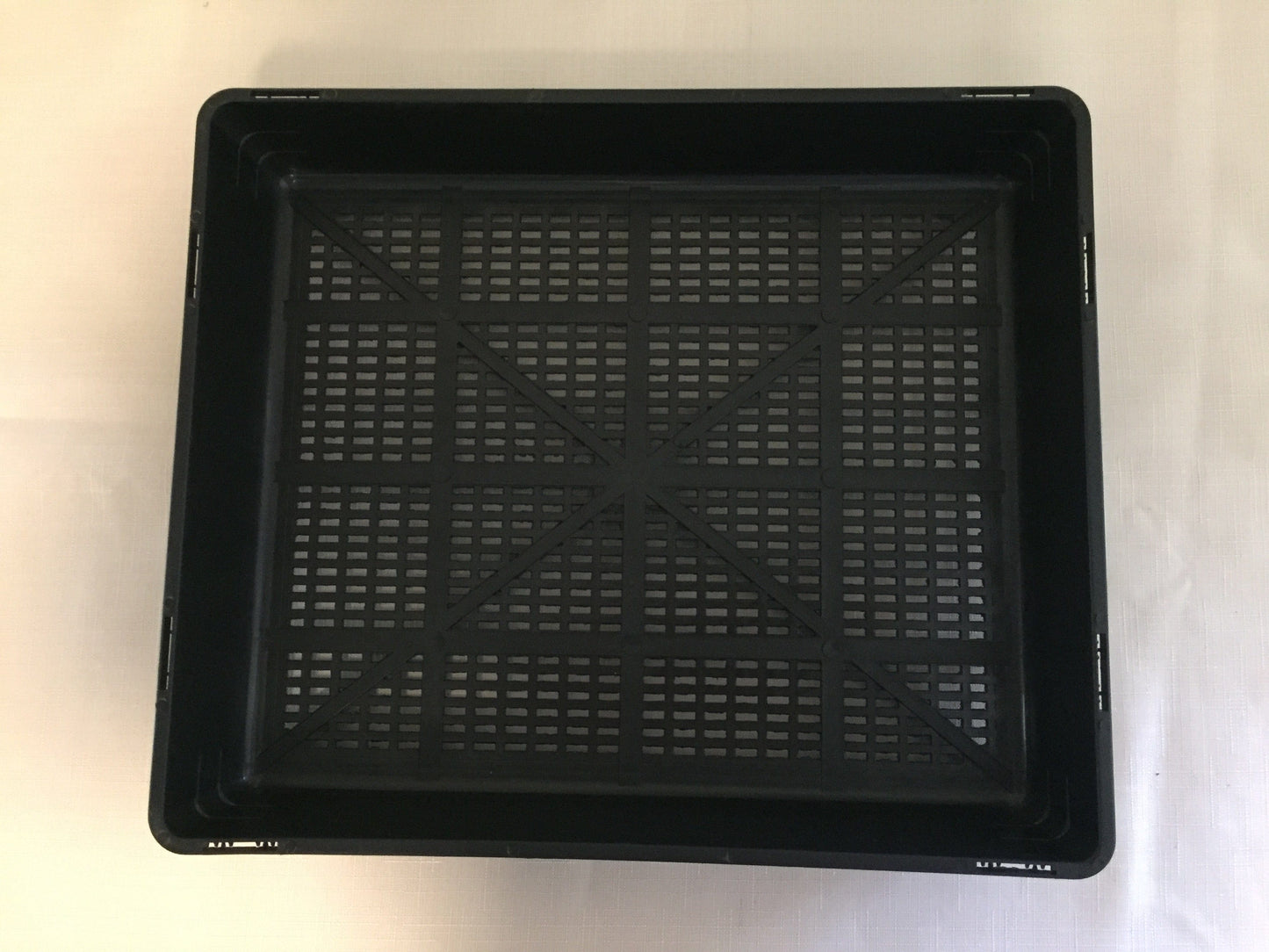 63mm Square Squat Propagating kit - LifeForce Seeds