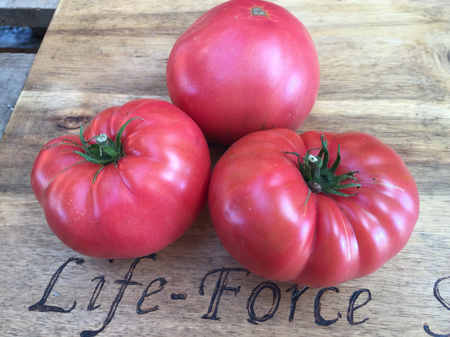 Tomato, Brandywine Sudduth`s Strain - LifeForce Seeds