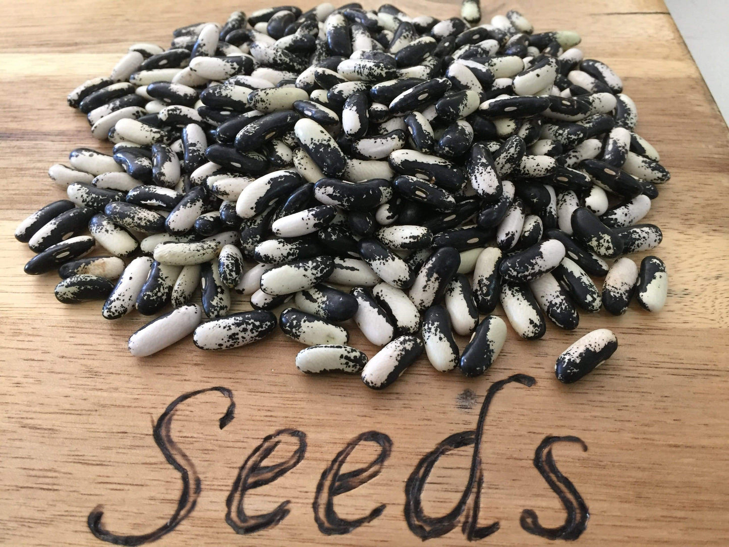 Bean Bush, Magpie - LifeForce Seeds