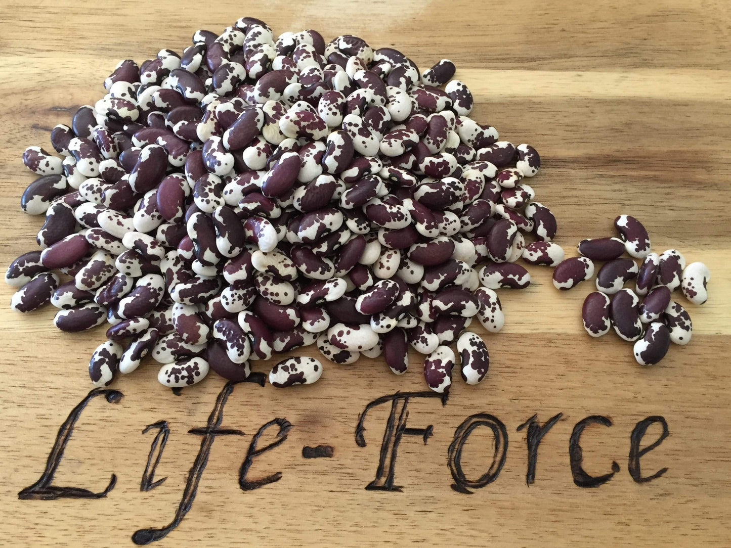 Bean Climbing, 1500year Old Cave - LifeForce Seeds