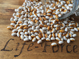 Bean Bush, Maine Yellow eyes - LifeForce Seeds