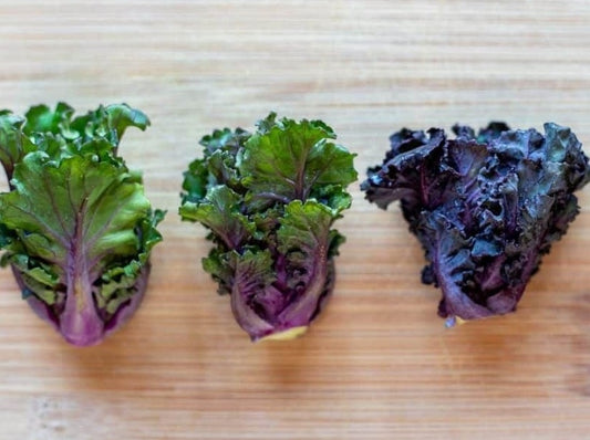 Kalettes, Petit Posy - LifeForce Seeds