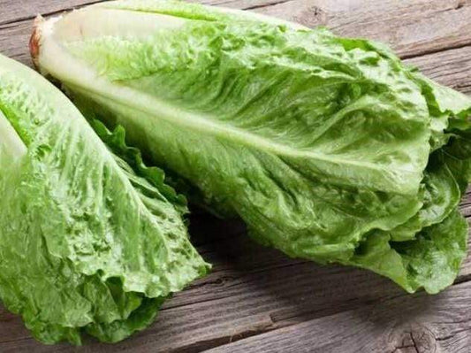 Lettuce Cos Parris Island - LifeForce Seeds