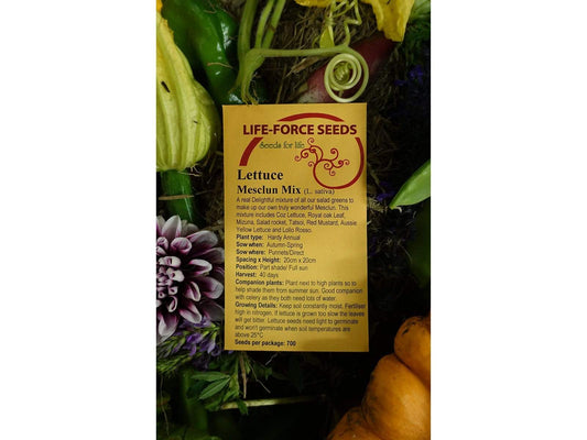 Mesclun Salad Mix - LifeForce Seeds