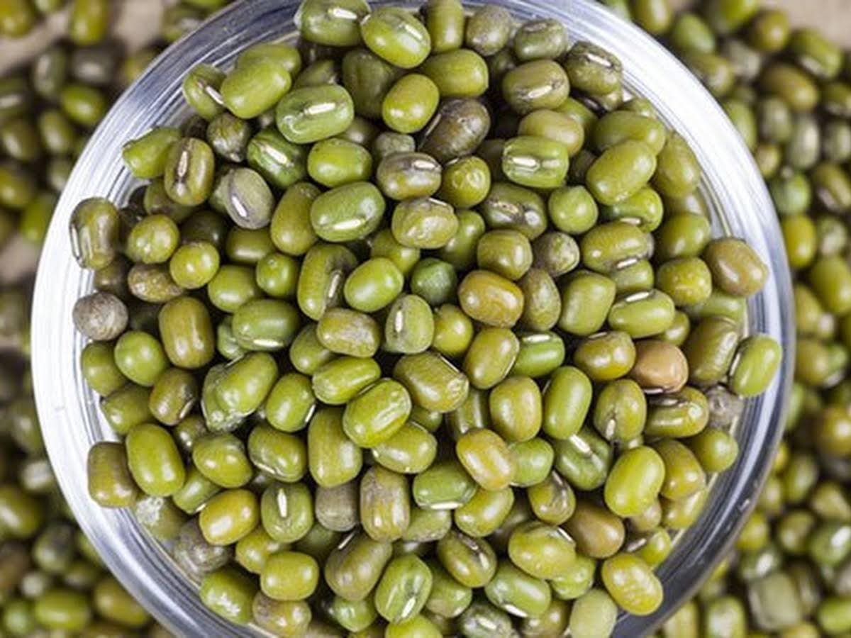 Mung Bean - LifeForce Seeds