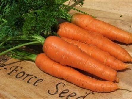 Carrot Nates - LifeForce Seeds