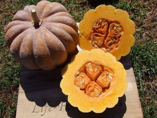 Pumpkin, Black Futsu - LifeForce Seeds