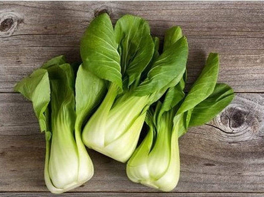 Pak Choi, Green stem F1 - LifeForce Seeds
