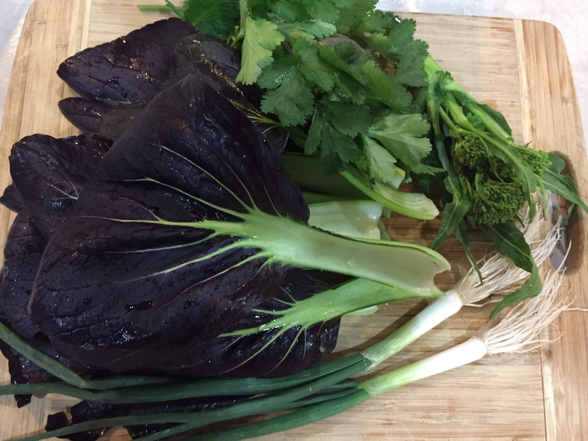 Pak Choi, Red Choi F1 - LifeForce Seeds