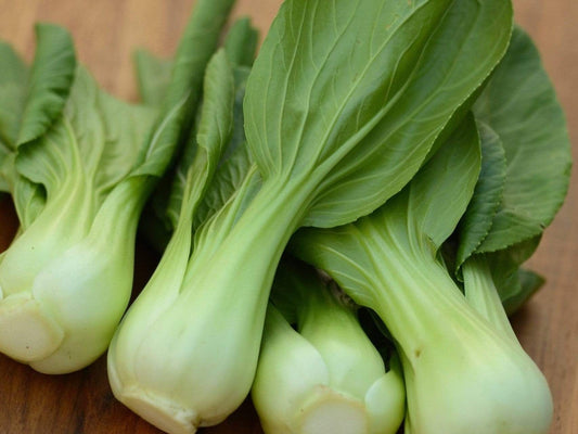 Pak Choi - LifeForce Seeds