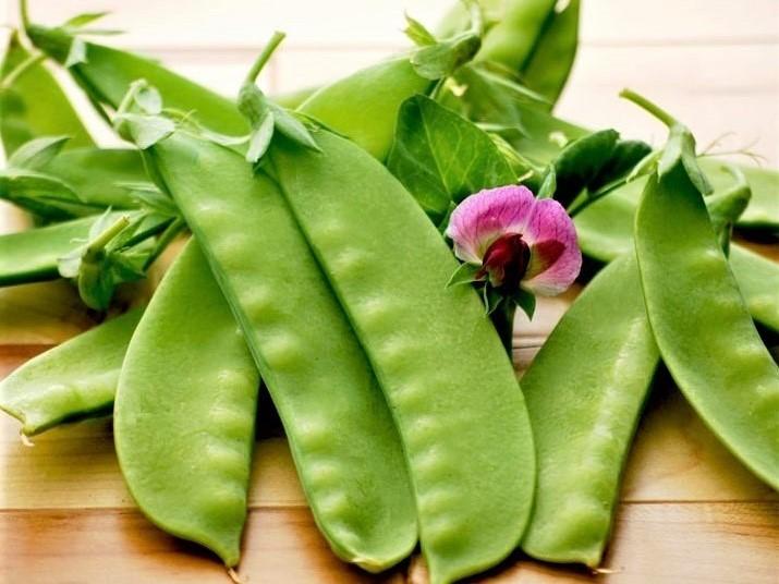 Snow Pea, Yukomo Giant - LifeForce Seeds
