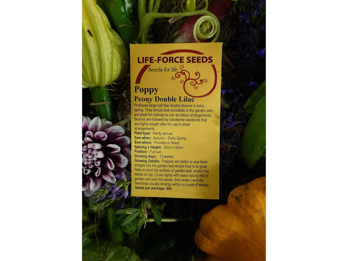 Poppy, Peony Double Lilac - LifeForce Seeds