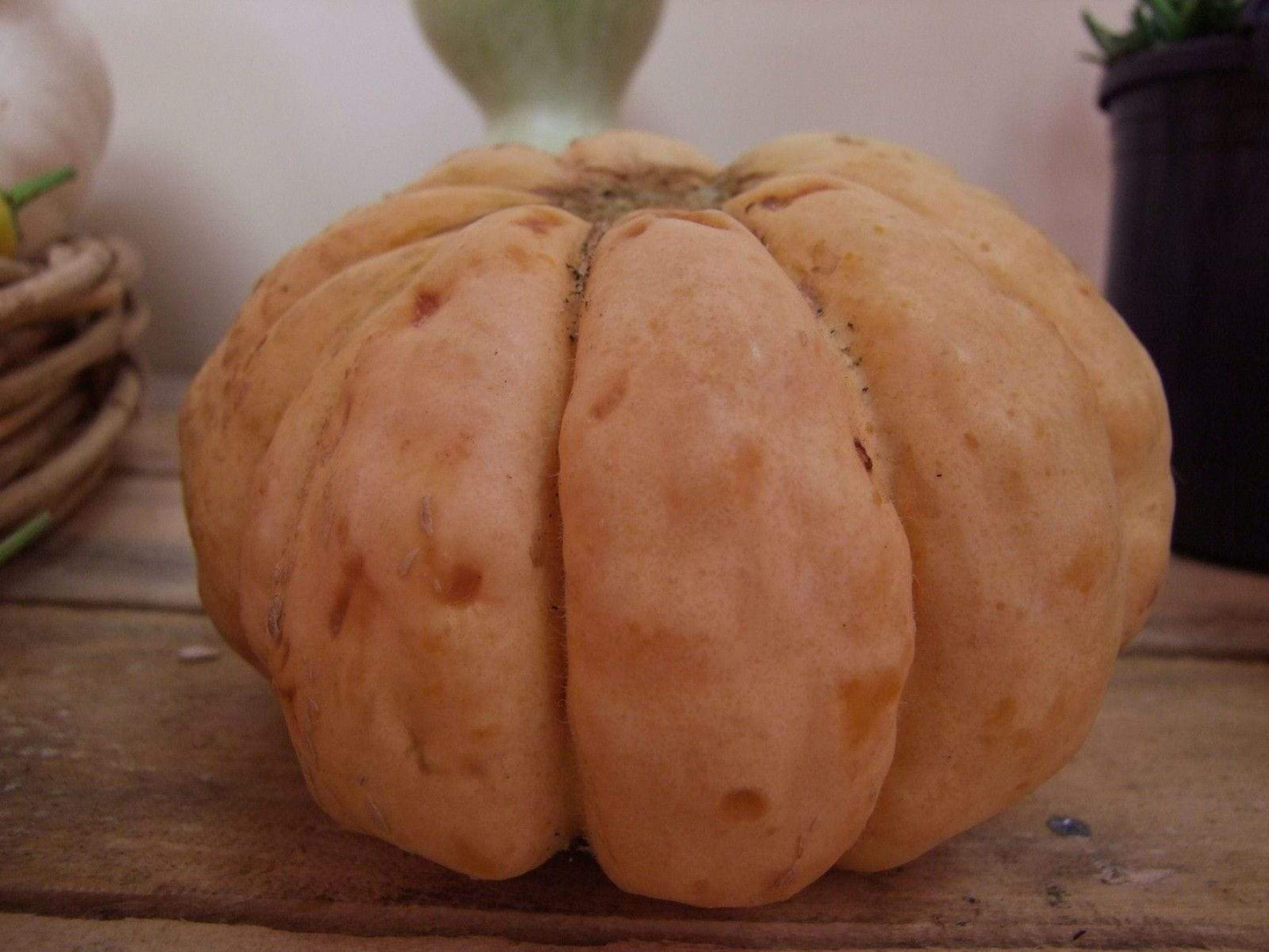 Rockmelon, Prescott Fond Blanc - LifeForce Seeds