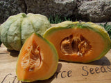 Rockmelon, Prescott Fond Blanc - LifeForce Seeds
