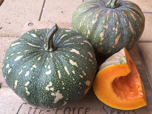 Pumpkin, Kent/ Jap - LifeForce Seeds